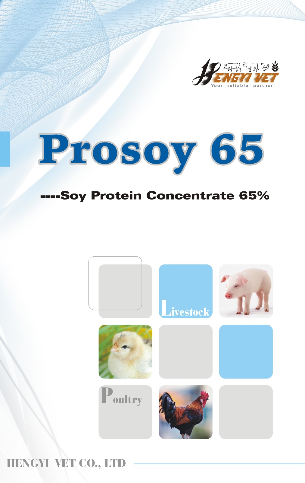 展画1prosoy.jpg